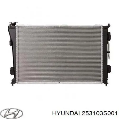 253103S001 Hyundai/Kia Радіатор охолодження двигуна