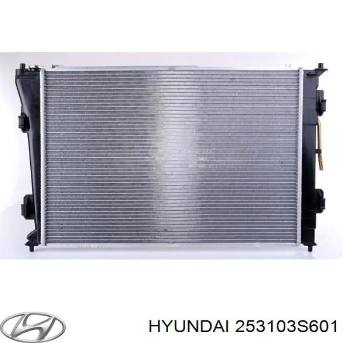 Радіатор 253103S601 Hyundai/Kia