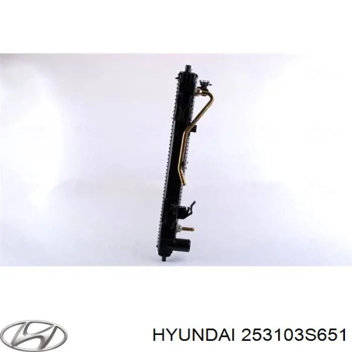 Купити 253103S651 Hyundai/Kia Радіатор двигуна