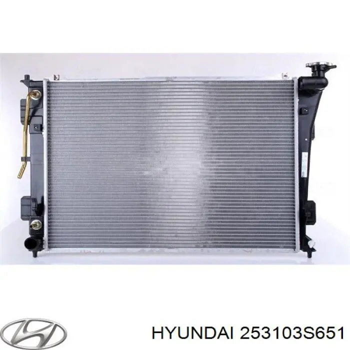 Радіатор 253103S651 Hyundai/Kia