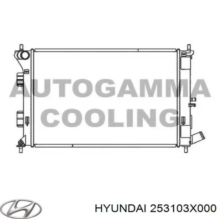 253103X000 Hyundai/Kia радіатор охолодження двигуна