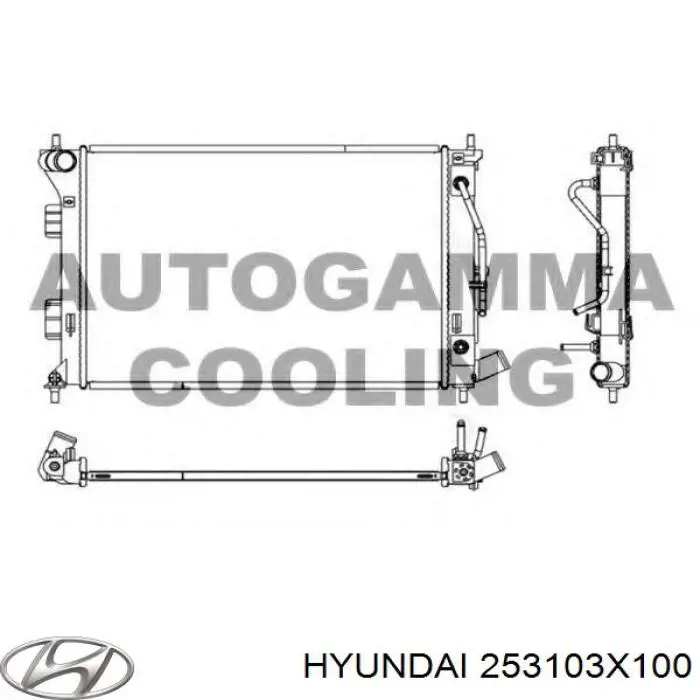 Радіатор основний Hyundai/Kia 253103X100 ціна, від 68.51 USD