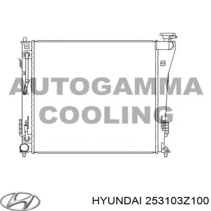 D70528TT Thermotec Радіатор охолодження двигуна