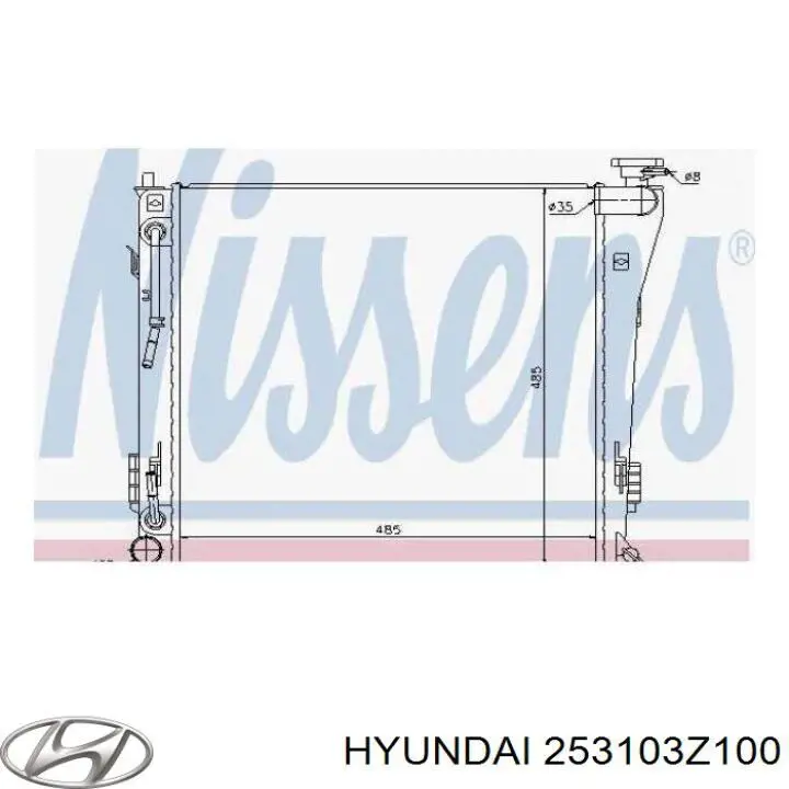 Радіатор 253103Z100 Hyundai/Kia