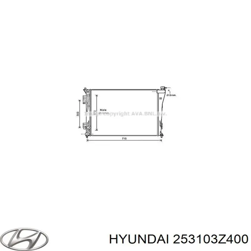 Радіатор 253103Z400 Hyundai/Kia