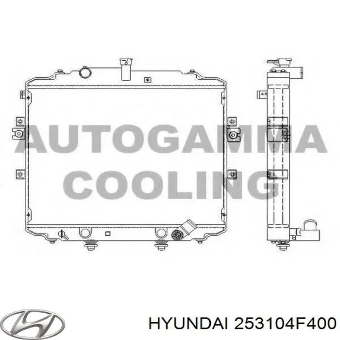 Радіатор 253104F400 Hyundai/Kia