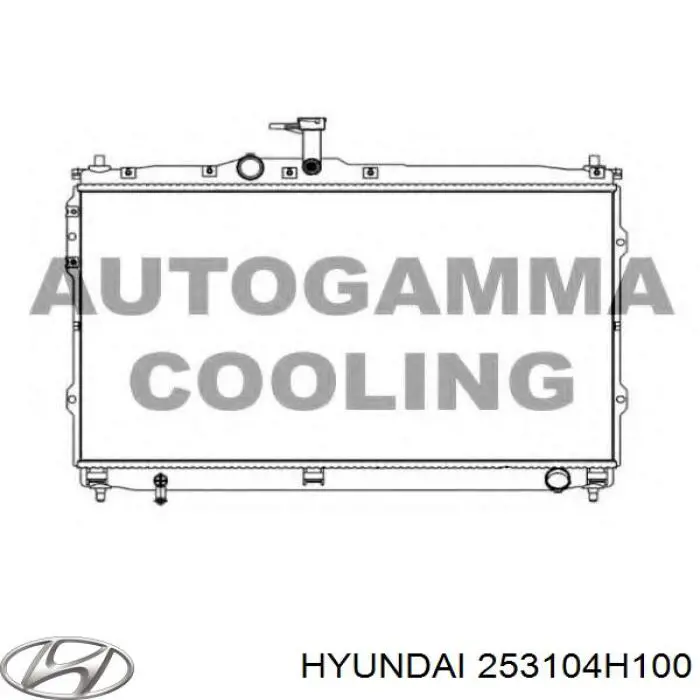 253104H100 Hyundai/Kia Радіатор охолодження двигуна