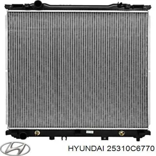  25310C6770 Hyundai/Kia