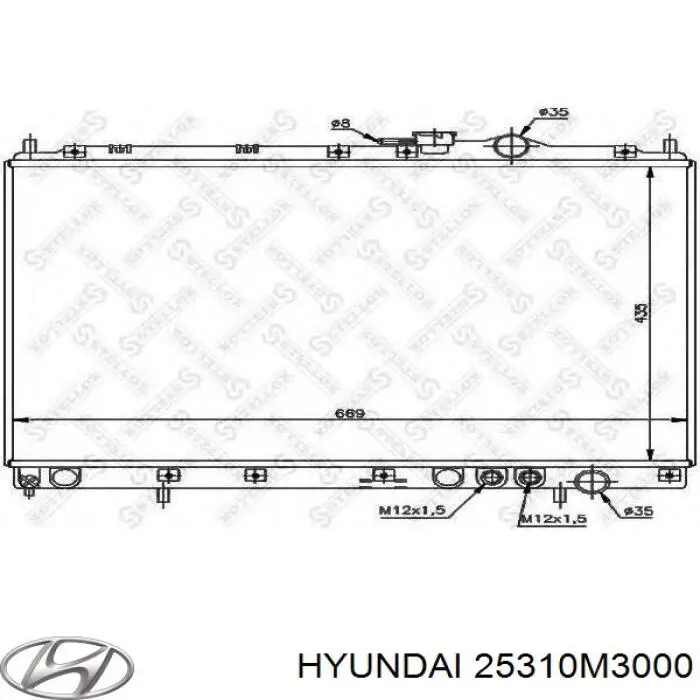 25310M3000 Hyundai/Kia Радіатор охолодження двигуна
