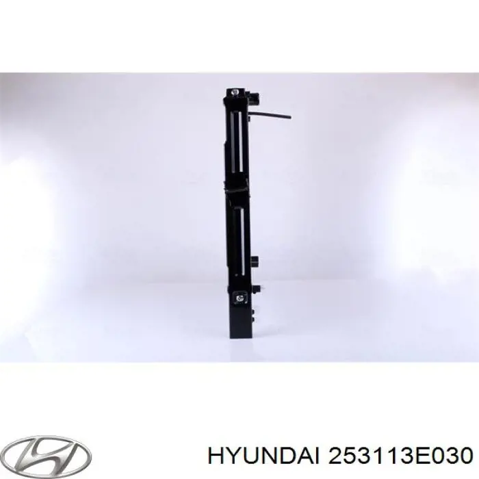 253113E030 Hyundai/Kia Радіатор охолодження двигуна