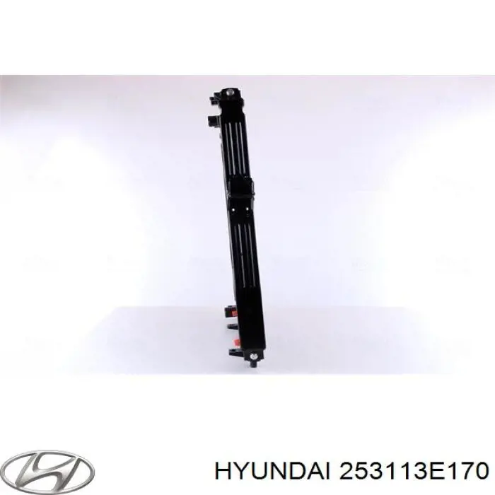 Радіатор охолодження Hyundai/Kia 253113E170