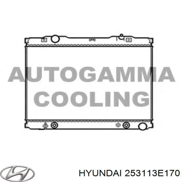 Купити 253113E170 Hyundai/Kia Радіатор двигуна