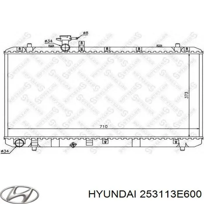 Радіатор 253113E600 Hyundai/Kia