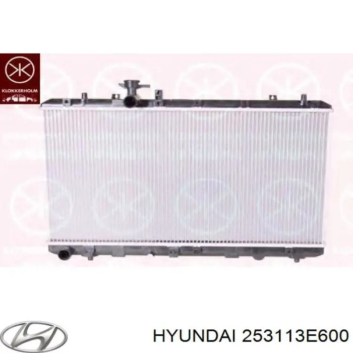 253103E600 Hyundai/Kia Радіатор охолодження двигуна