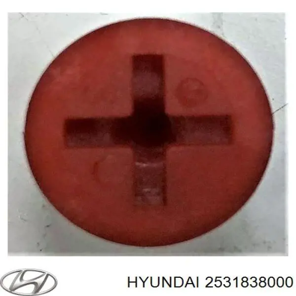  2531838000 Hyundai/Kia