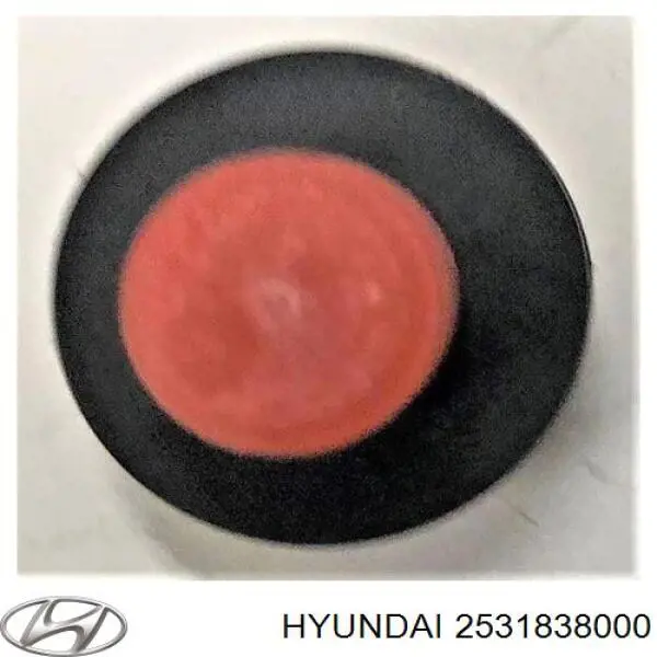 Радіатор основний Hyundai/Kia 2531838000 ціна, від 4.64 USD