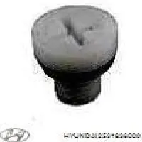 Купити 2531838000 Hyundai/Kia Радіатор двигуна