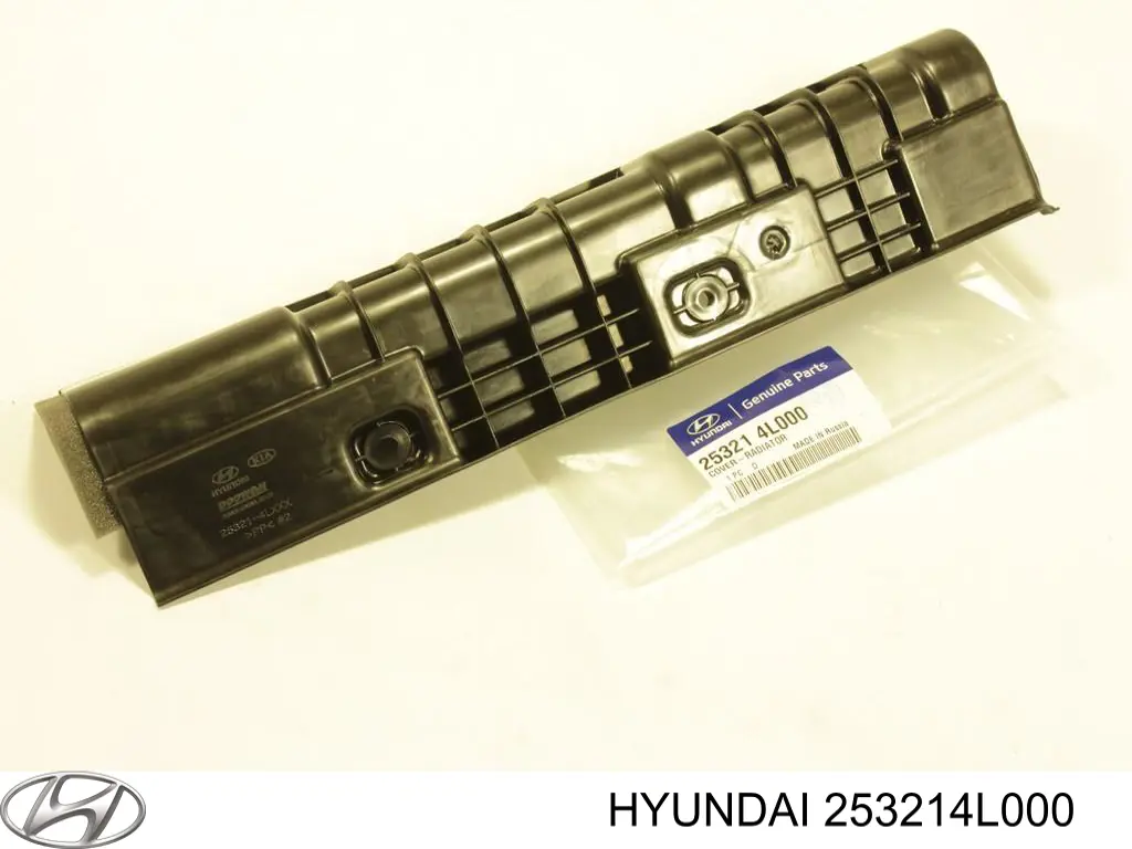 Повітропровід (дефлектор) радіатора, лівий 253214L000 Hyundai/Kia