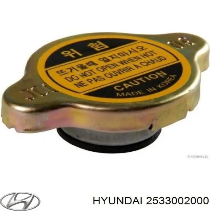 Купити 2533002000 Hyundai/Kia Кришка радіатора