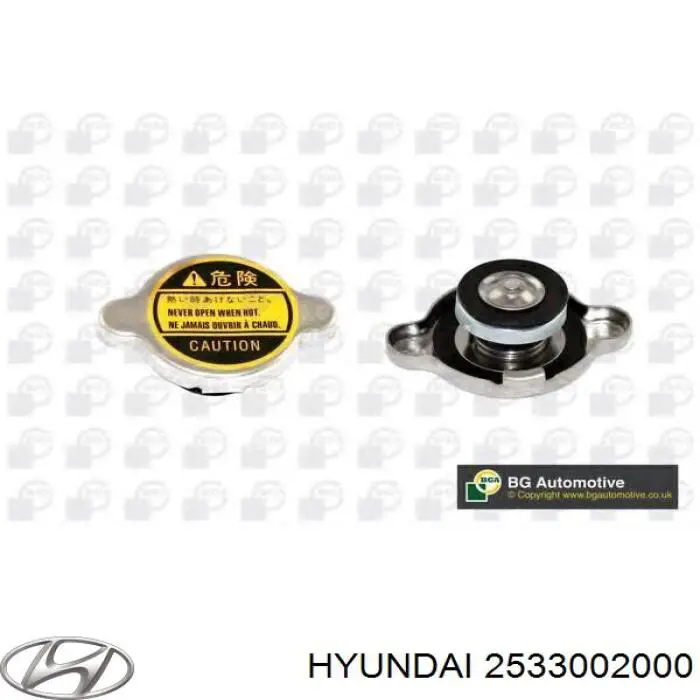 2533002000 Hyundai/Kia кришка/пробка радіатора
