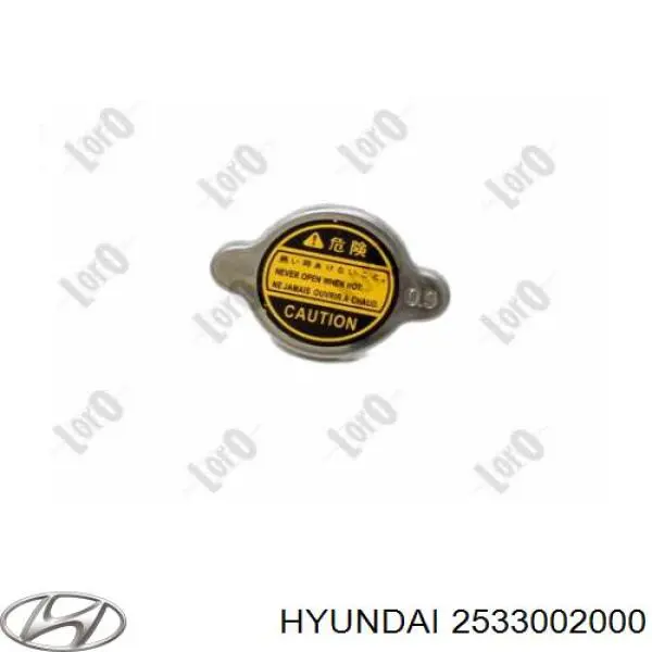 Кришка бачка радіатора Hyundai/Kia 2533002000 ціна, від 4.81 USD