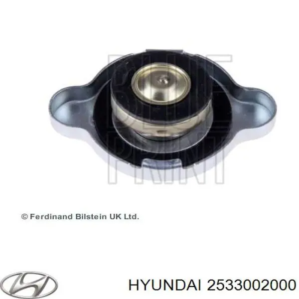 Купити 2533002000 Hyundai/Kia Кришка радіатора