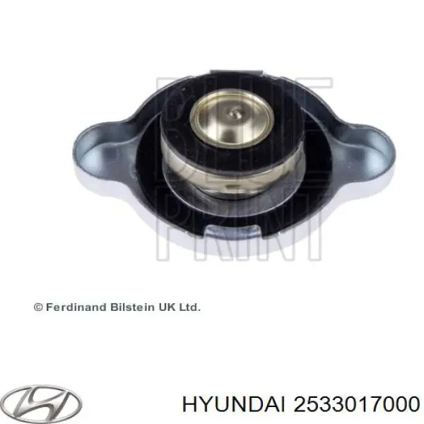 Кришка бачка радіатора Hyundai/Kia 2533017000 ціна, від 9.07 USD