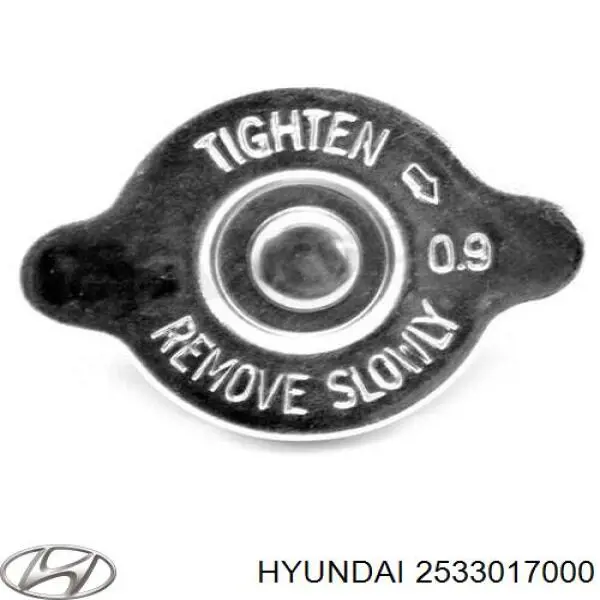 Кришка радіатора 2533017000 Hyundai/Kia