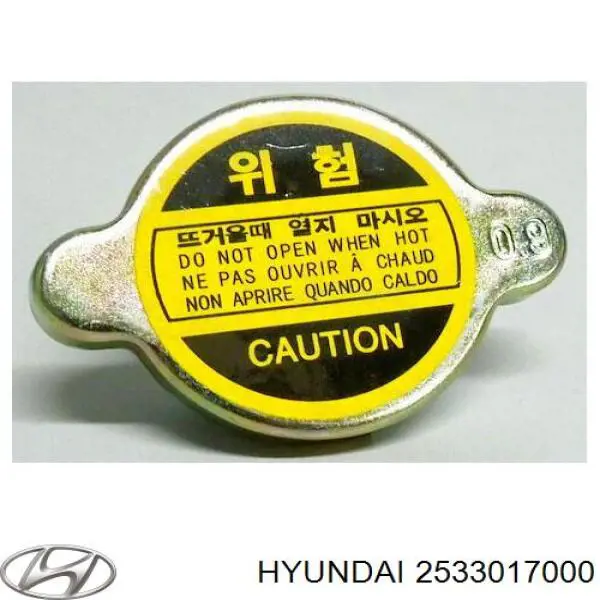 2533017000 Hyundai/Kia Кришка / пробка радіатора