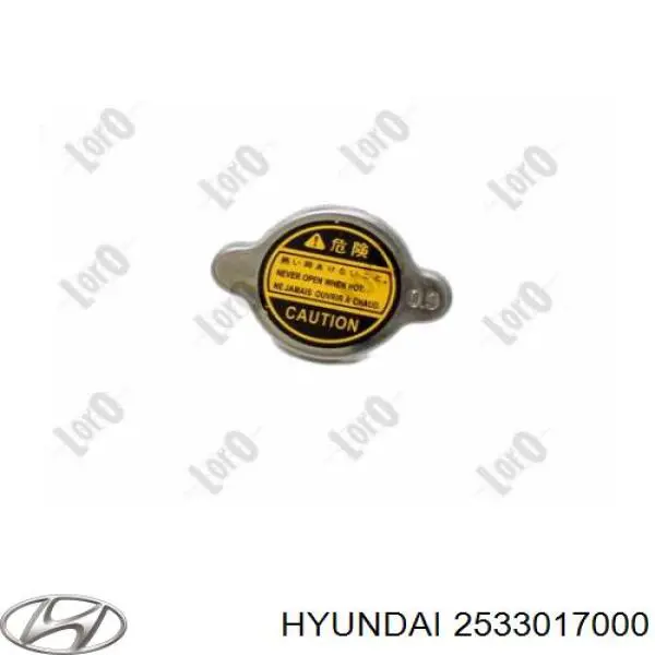 2533017000 Hyundai/Kia кришка/пробка радіатора