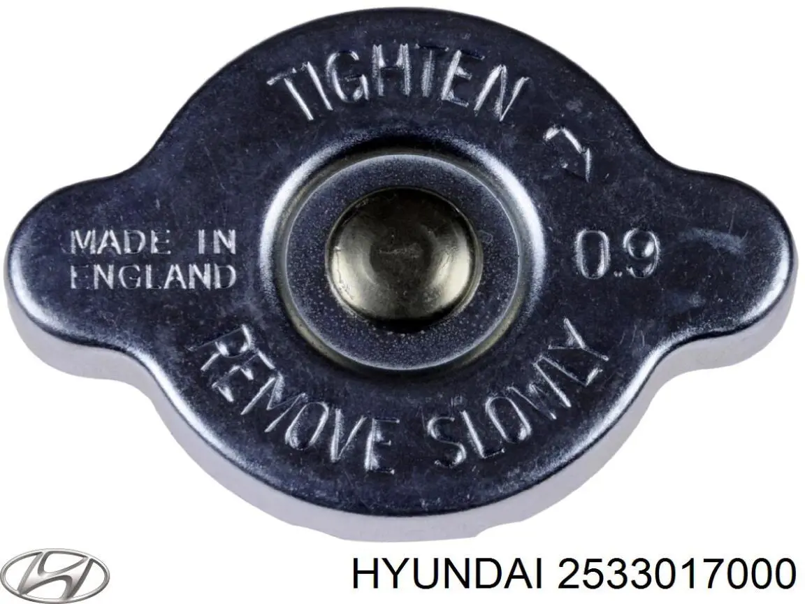 Пробка радіатора Hyundai/Kia 2533017000
