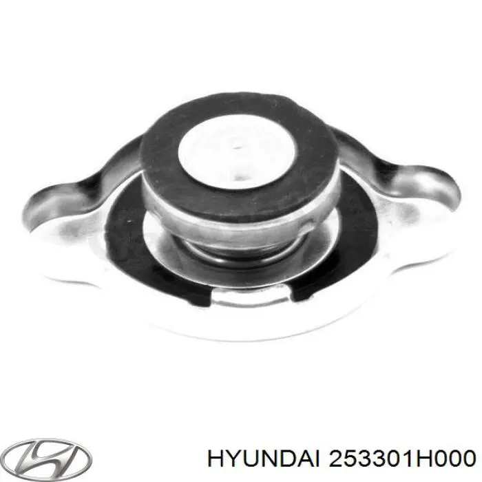 Кришка бачка радіатора Hyundai/Kia 253301H000 ціна, від 6.51 USD