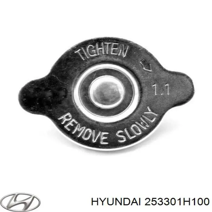 Кришка бачка радіатора Hyundai/Kia 253301H100 ціна, від 9.23 USD