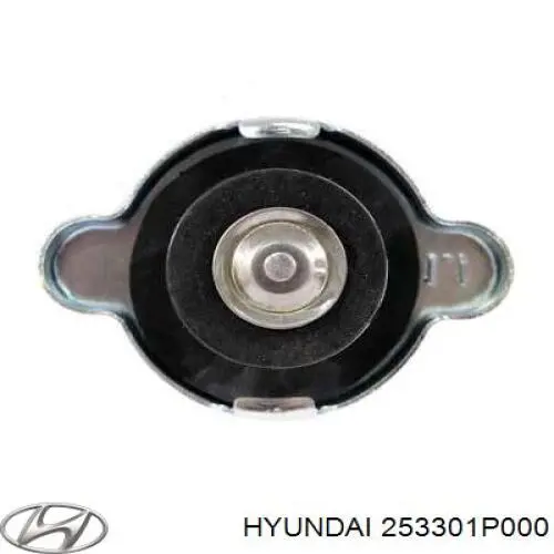 253301P000 Hyundai/Kia кришка/пробка радіатора