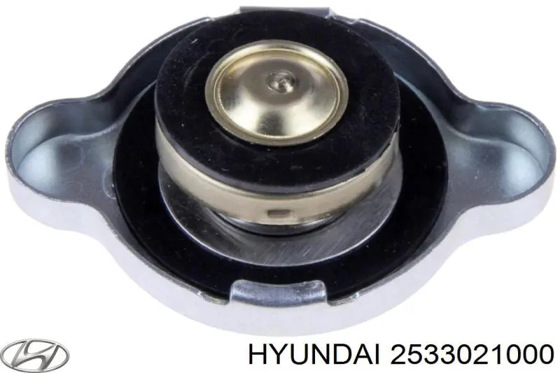2533021000 Hyundai/Kia 