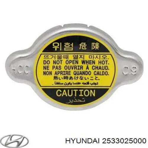 Кришка радіатора 2533025000 Hyundai/Kia