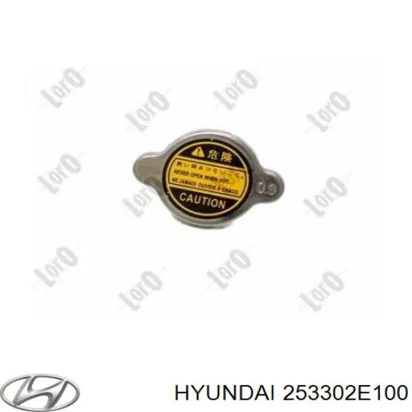 Кришка бачка радіатора Hyundai/Kia 253302E100 ціна, від 6.17 USD