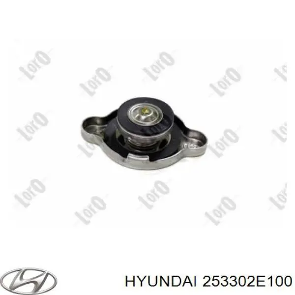Купити 253302E100 Hyundai/Kia Кришка радіатора
