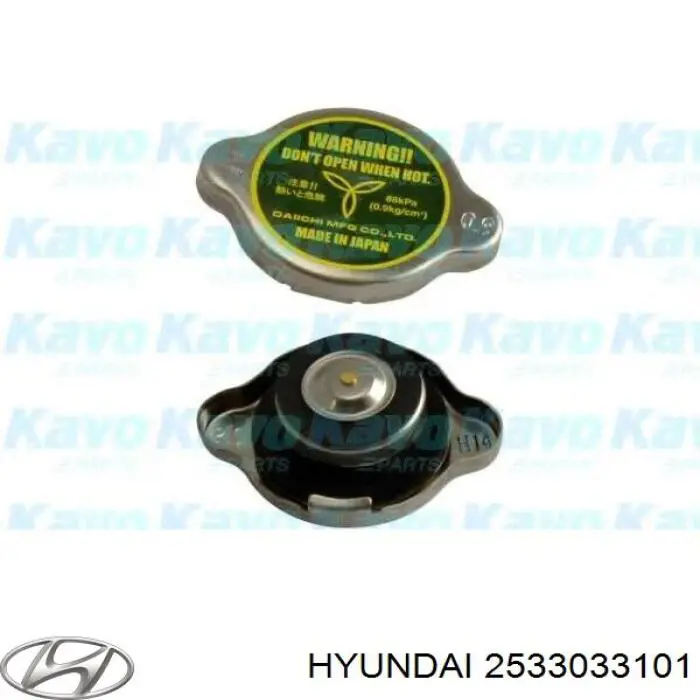 2533033101 Hyundai/Kia кришка/пробка радіатора