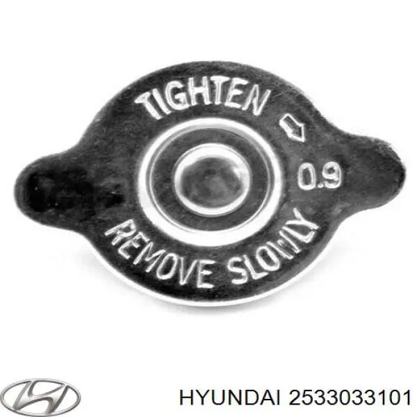 Кришка бачка радіатора Hyundai/Kia 2533033101 ціна, від 4.52 USD