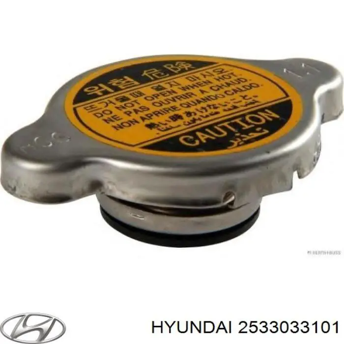 Купити 2533033101 Hyundai/Kia Кришка радіатора