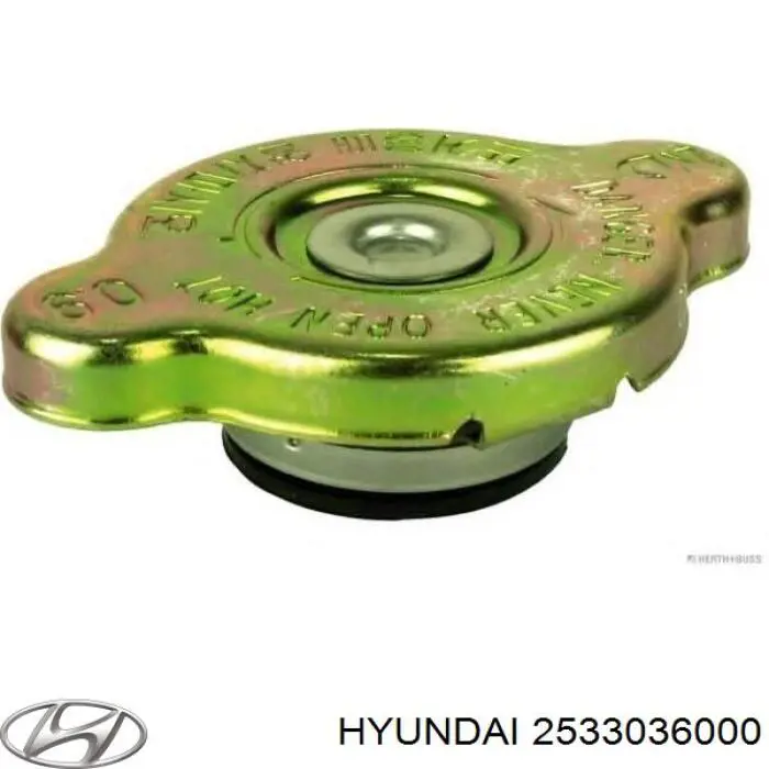 2533036000 Hyundai/Kia кришка/пробка радіатора