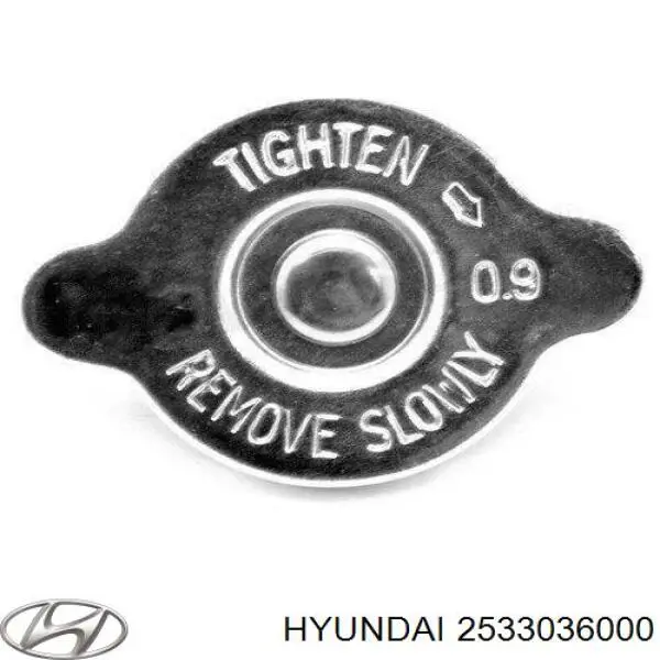 2533036000 Hyundai/Kia Кришка / пробка радіатора