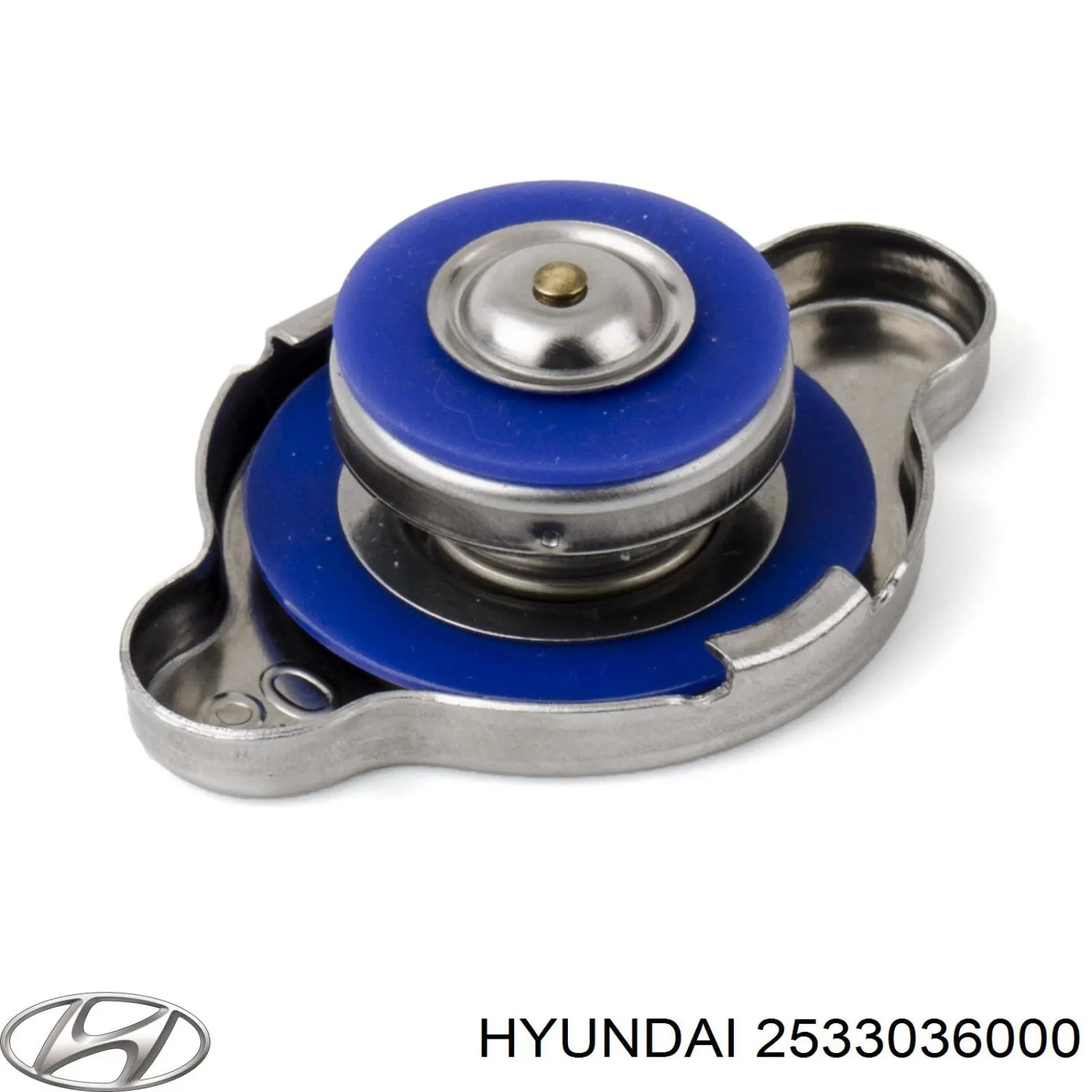 Кришка радіатора 2533036000 Hyundai/Kia