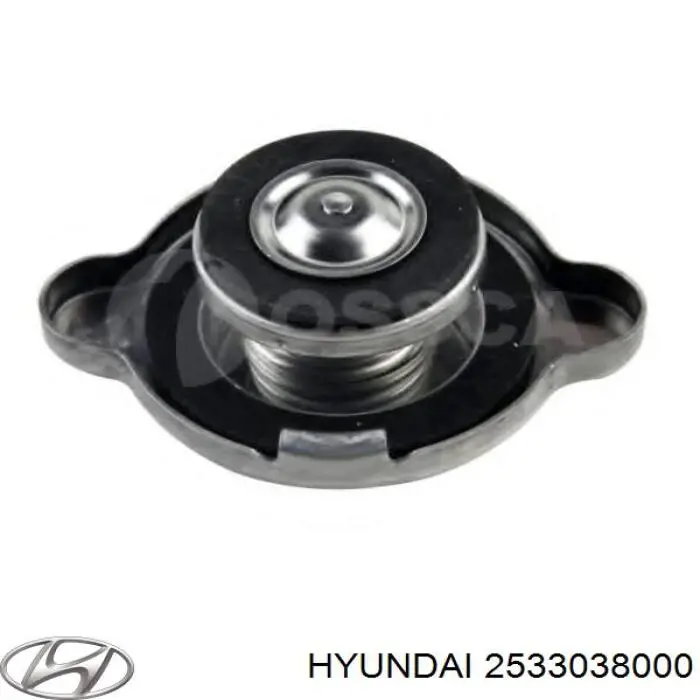 2533038000 Hyundai/Kia кришка/пробка радіатора
