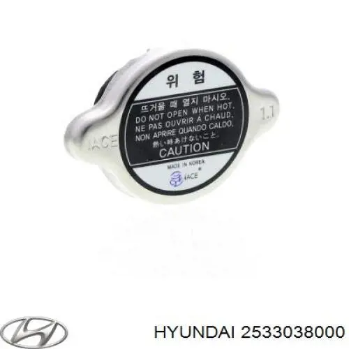 Кришка радіатора 2533038000 Hyundai/Kia