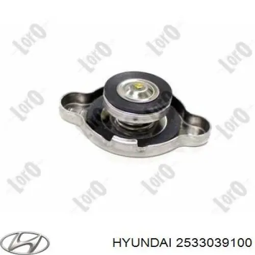 Кришка бачка радіатора Hyundai/Kia 2533039100 ціна, від 4.91 USD