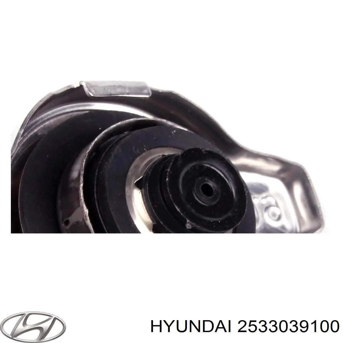 2533039100 Hyundai/Kia кришка/пробка радіатора