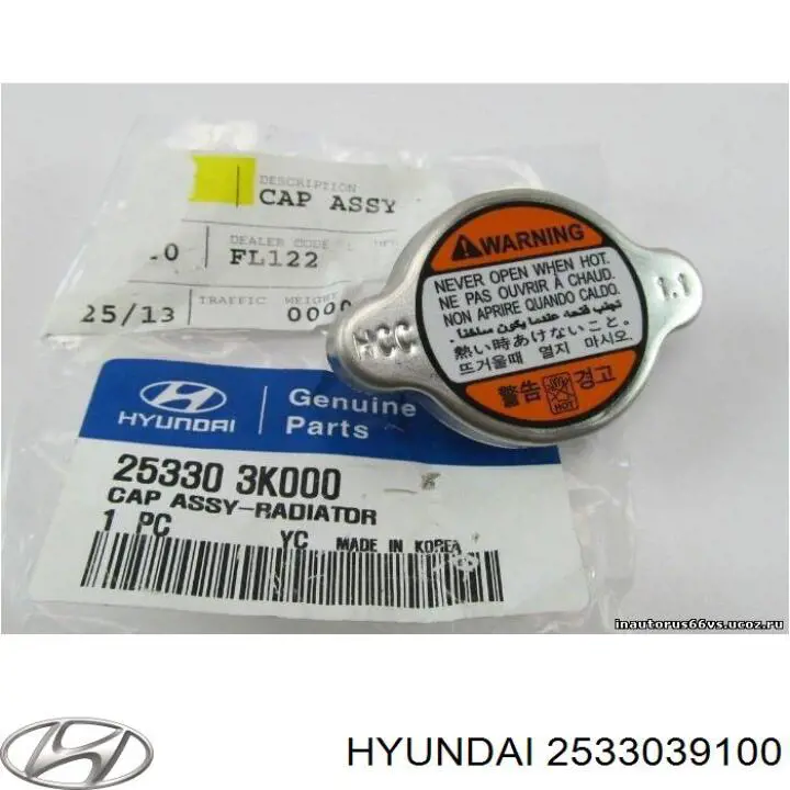 Купити 2533039100 Hyundai/Kia Кришка радіатора