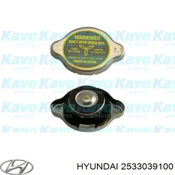 Кришка радіатора 2533039100 Hyundai/Kia